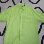 IMG_1507 green linen